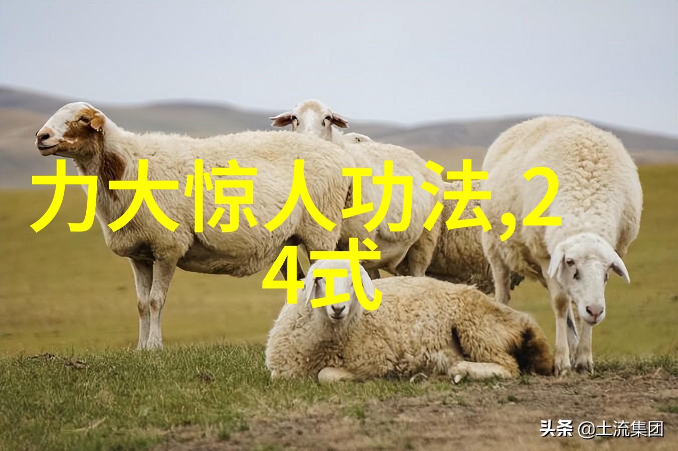 静谧家园中的激荡修炼一位武者在日常生活的微妙舞蹈中寻找内力