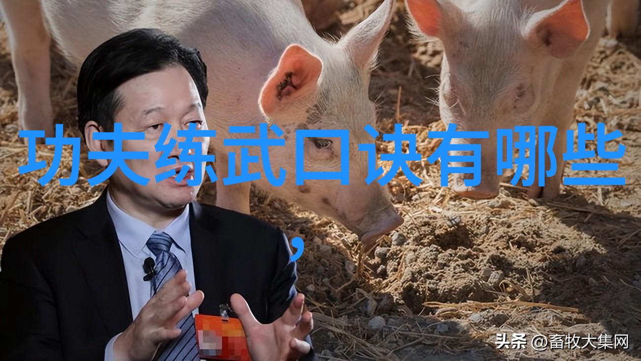 如何将简化24式太极拳分解教学与用进废退相结合