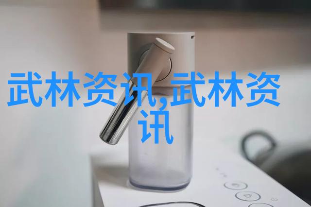 深入理解邱慧芳教授的太极拳哲学与实践