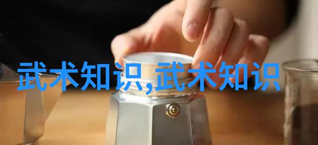 古代武功秘籍口诀天下英雄术记不传之密