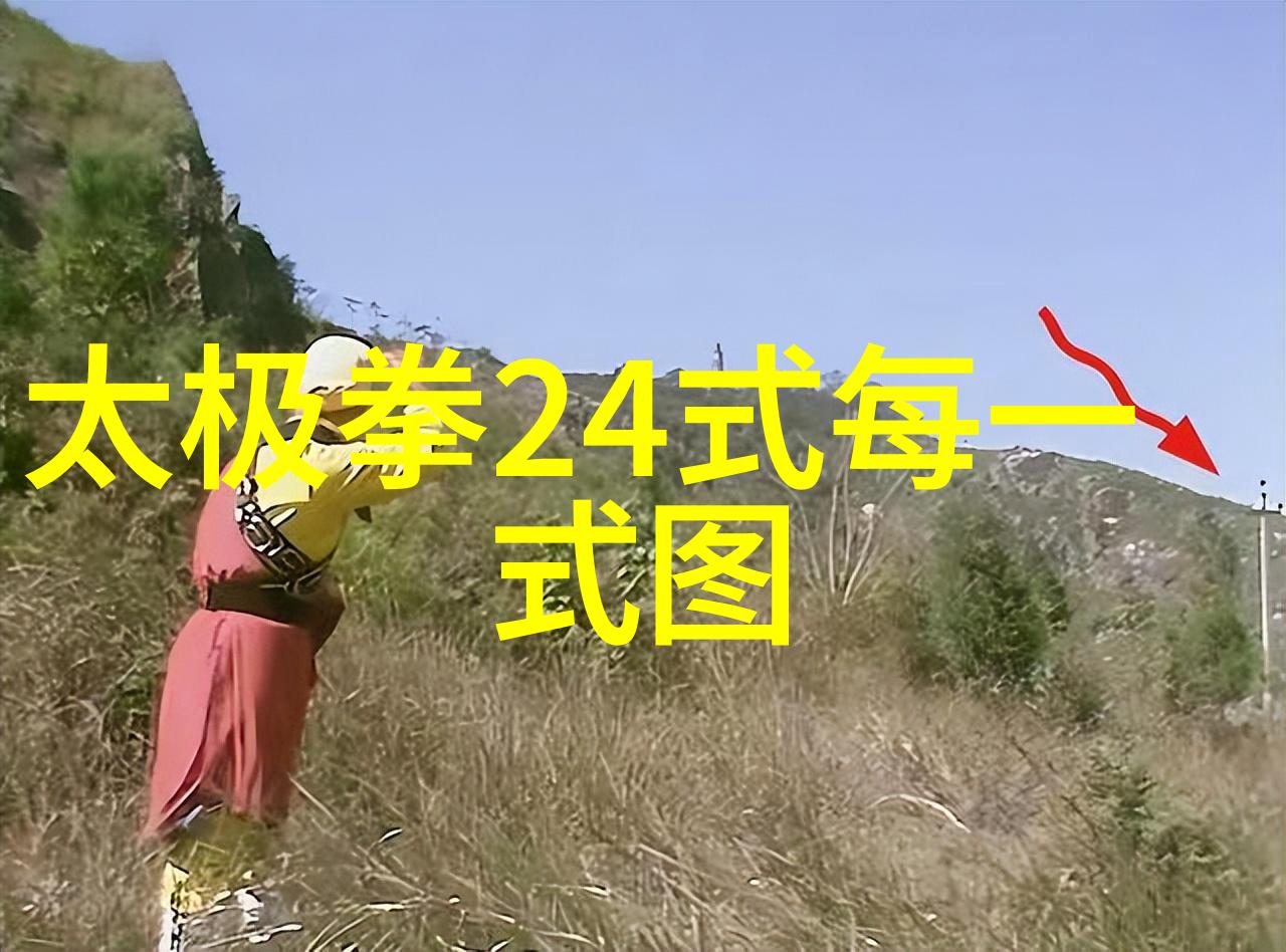 上古八大仙境秘传陈家小架太极拳