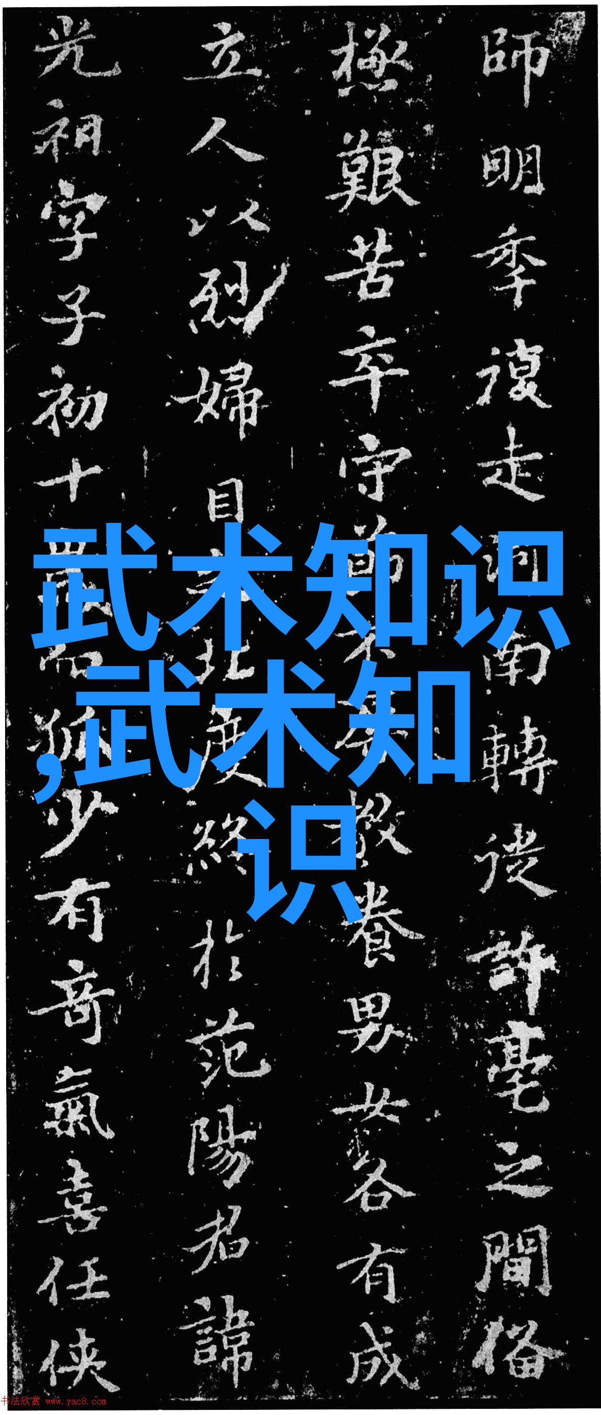 武术活动名称大全揭秘古老技艺与现代竞技