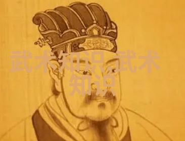 十三式太极拳分解动作传统武术中的内外合一练习