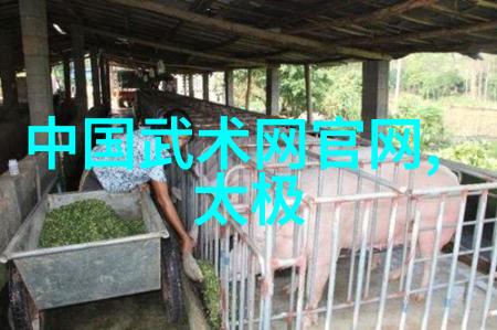 中式散打之王深入剖析中国最强大的摔跤艺术土豪散打