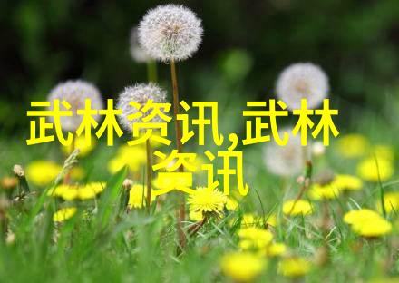 足球即时比分球探体育草蜢租借生涯结束贾博琰回归中国征战