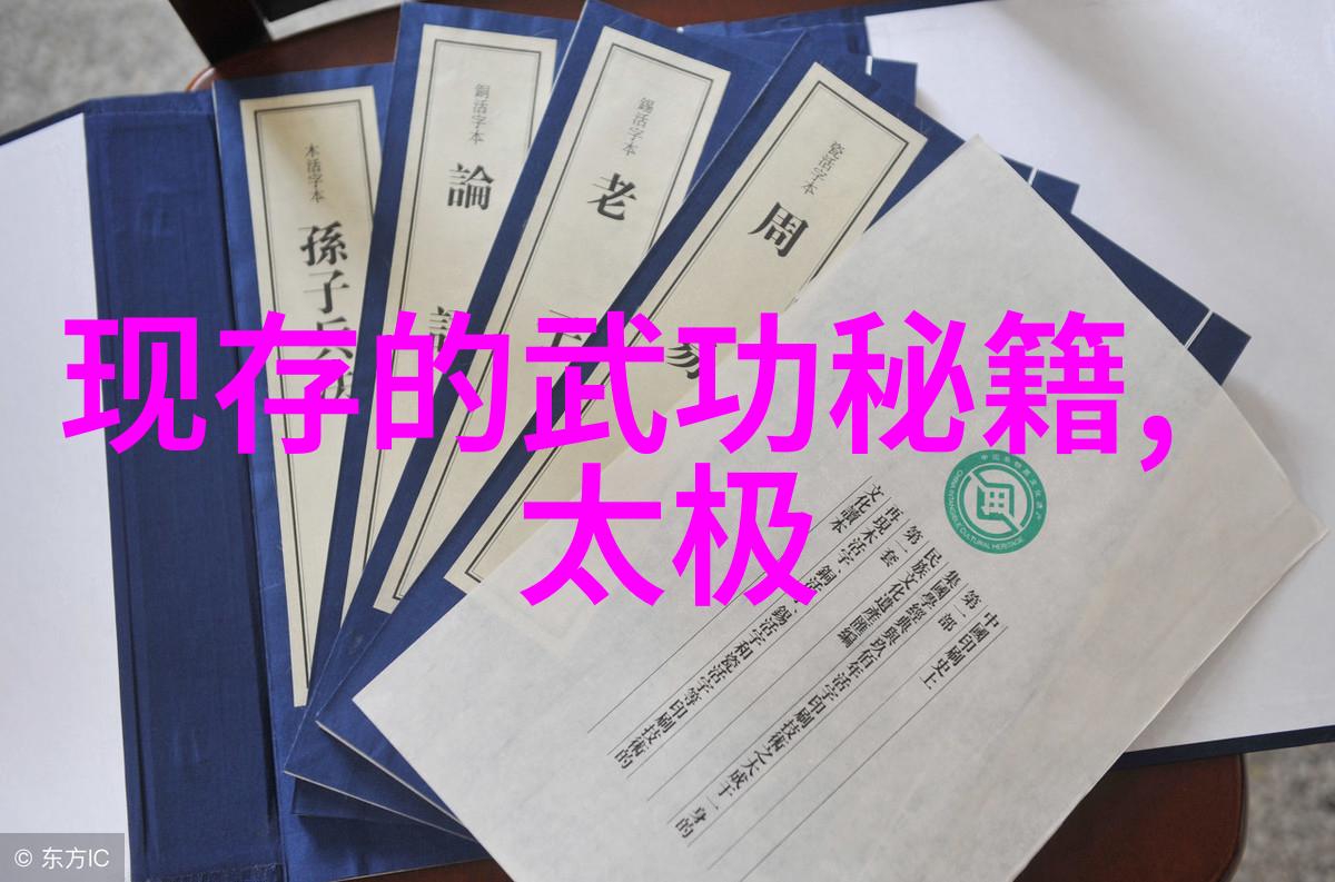 武林八大门派掌门人精英聚首龙象太极门传承古秘