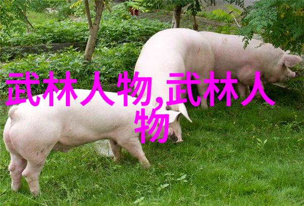 最强武功之所以称得上最强其对抗能力又是如何被证明的