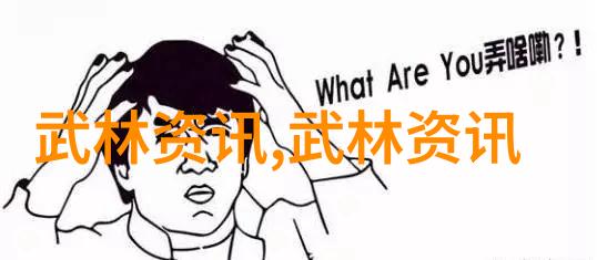 拳王之巅解析世界上最狠的打击技巧