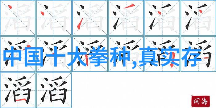 少儿散打武术基础知识与安全操作指南少儿武术训练方法