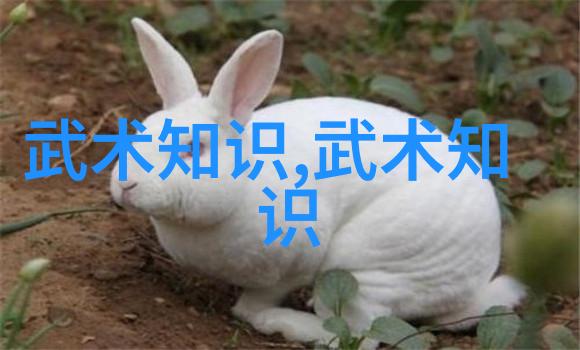 天地玄黄经揭秘最古老的武学大成之术