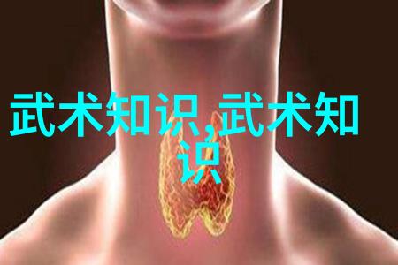 无删减之美探索美学公式的奥秘