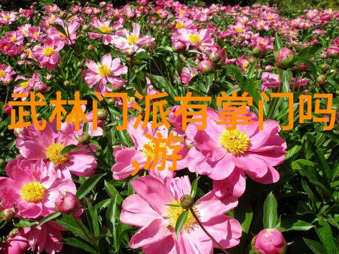 按节奏移动太極拳24式脚步教学