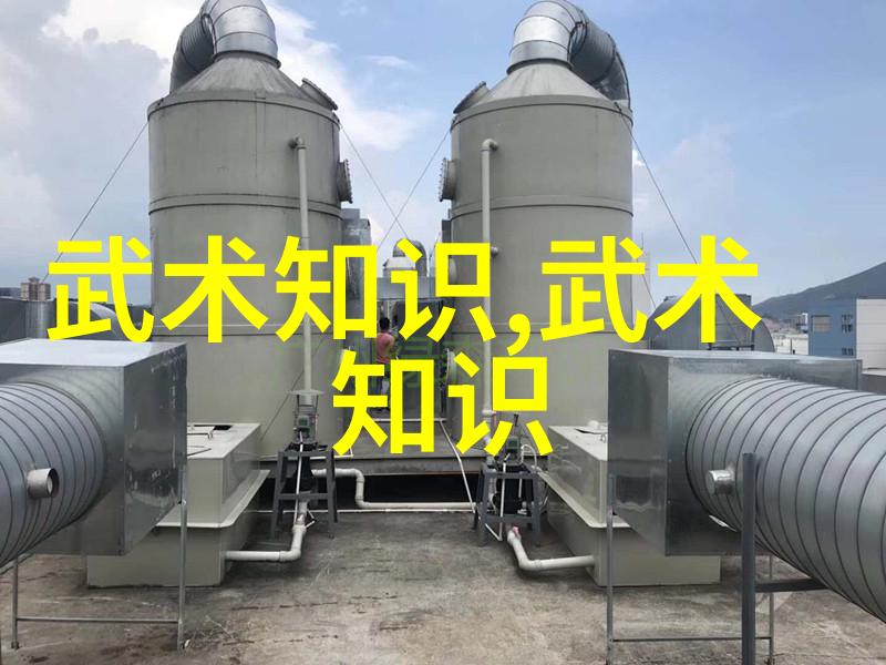武功秘籍网古老武学的传承与学习平台