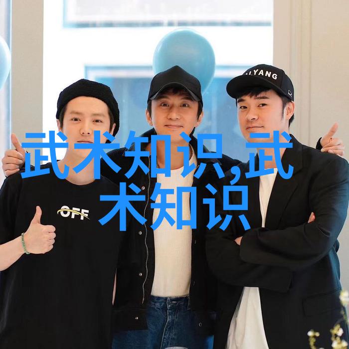 中国武术丰富多样拳法中华古代武术的精彩演绎
