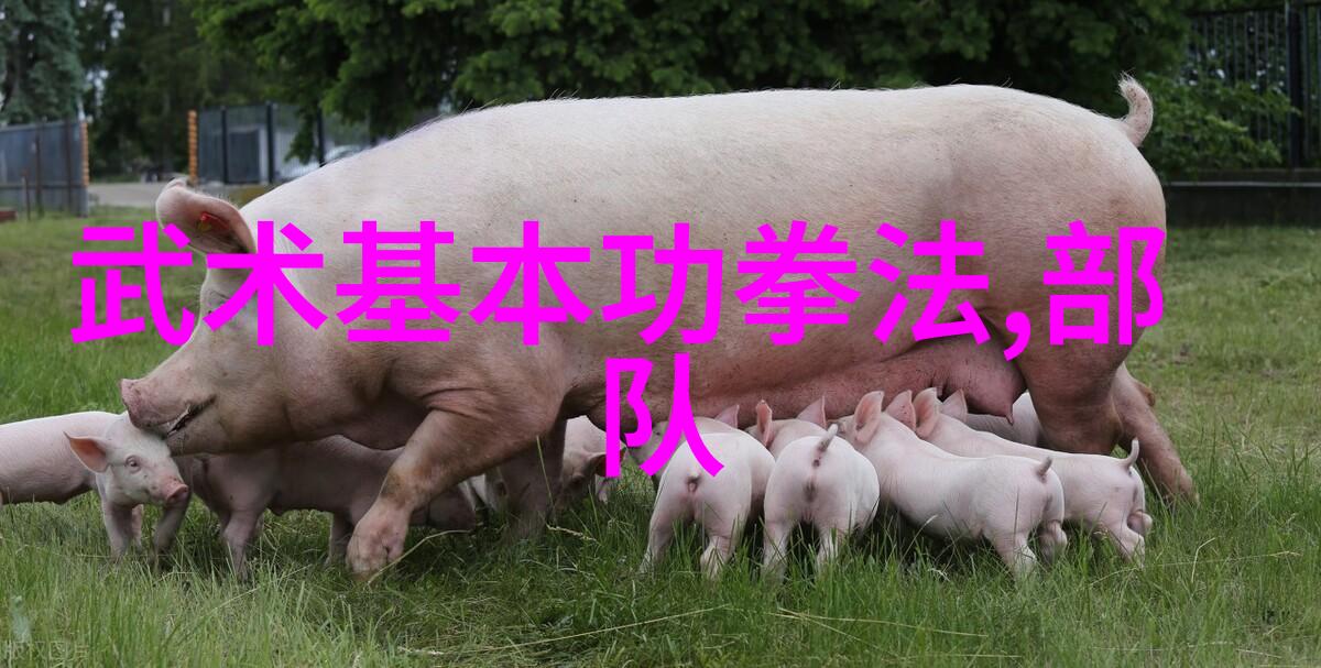 武林资讯我在江湖中捡到一条宝贵线索古墓藏宝图已被盗