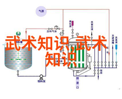 流动的秘密追踪那些被遗忘的武术口诀