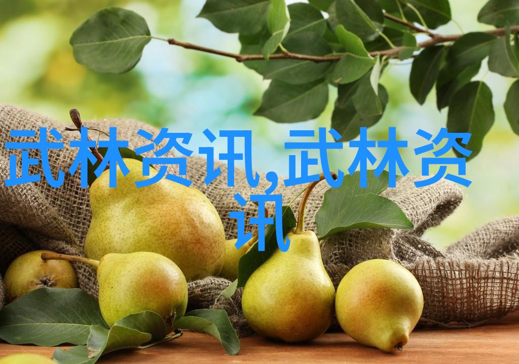 四侠传说他们凭借什么品质和能力成为了无敌的英雄们