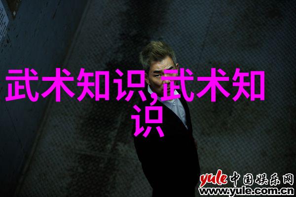 中国拳法的多样花园探索中华武术的丰富种类
