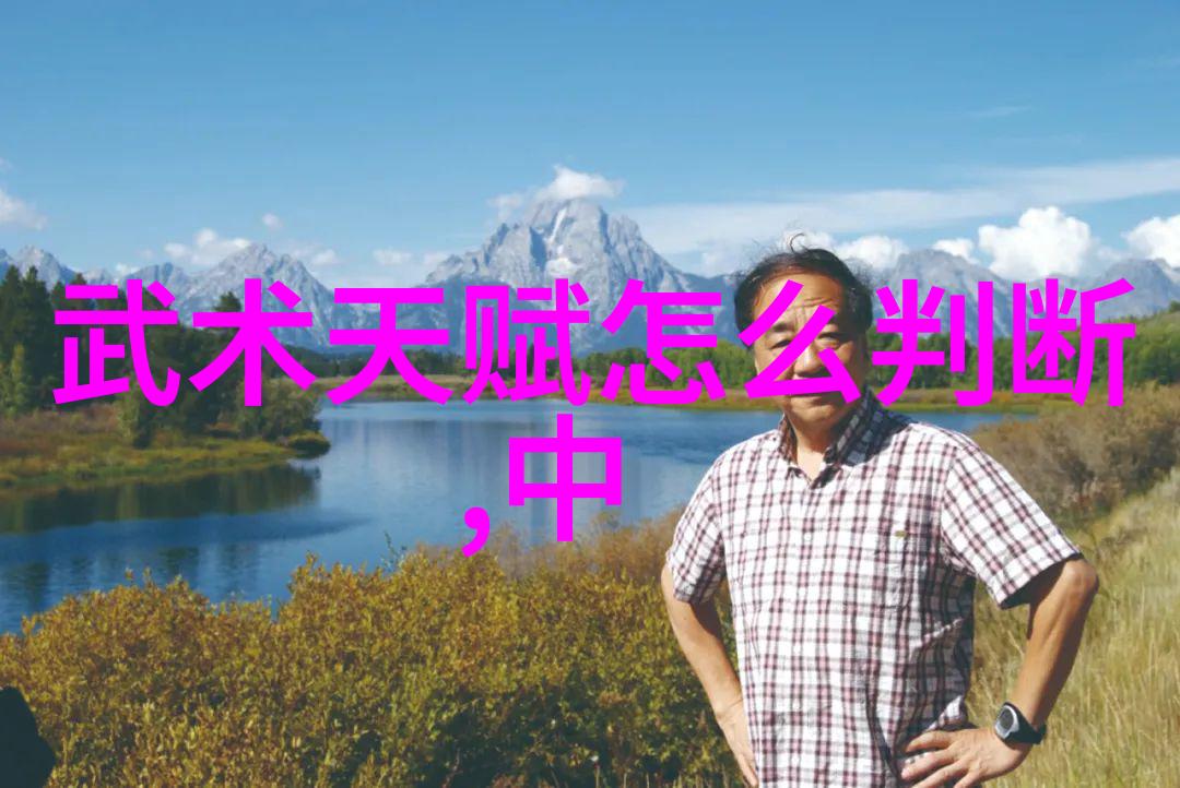 武术教程我是如何从零到英雄的一位初学者的武术实战指南