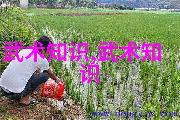 巴丹吉林成中国沙漠探险旅游地