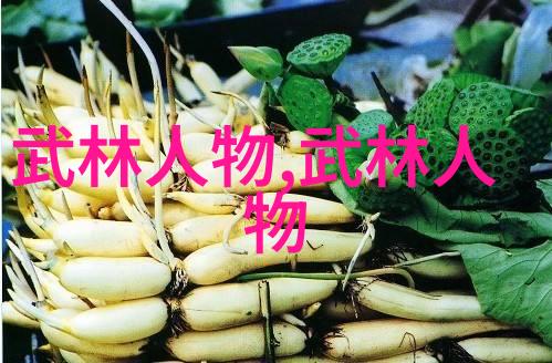 诗意帮派编织传奇的文采与武力