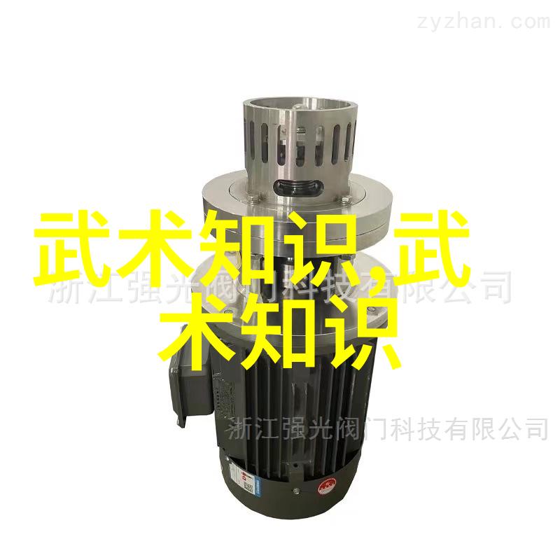 剑破九霄揭秘古代最为强悍的武学之道