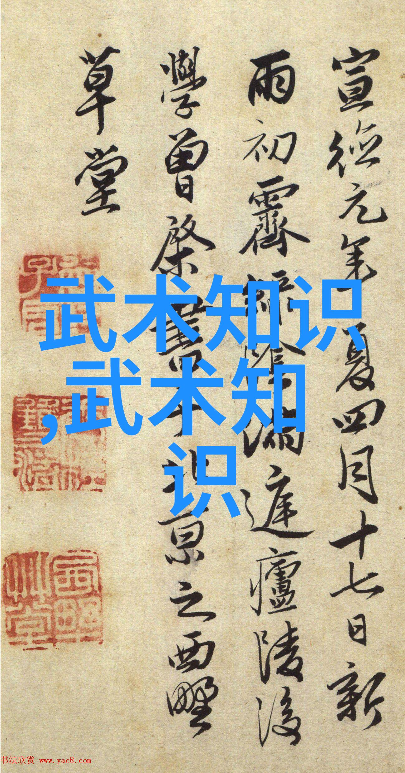 传承与创新探索中国现代时期入围十大的新兴武学
