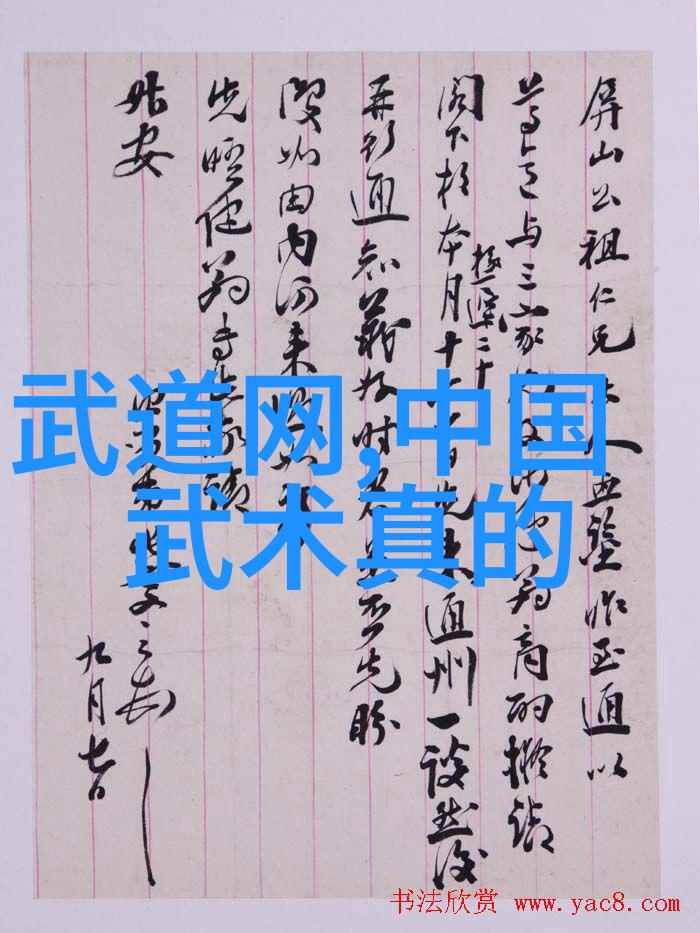 武术修炼之道探索中国武功的练习艺术