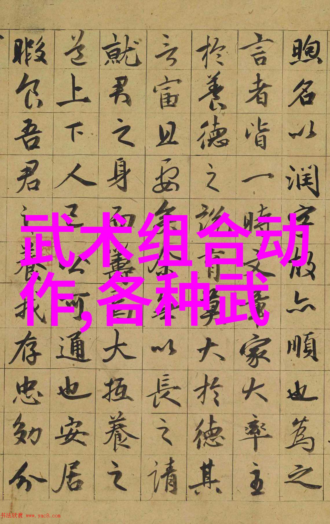 武功门派都有哪些-探秘中华武林揭秘千年武功门派的奥秘与传承