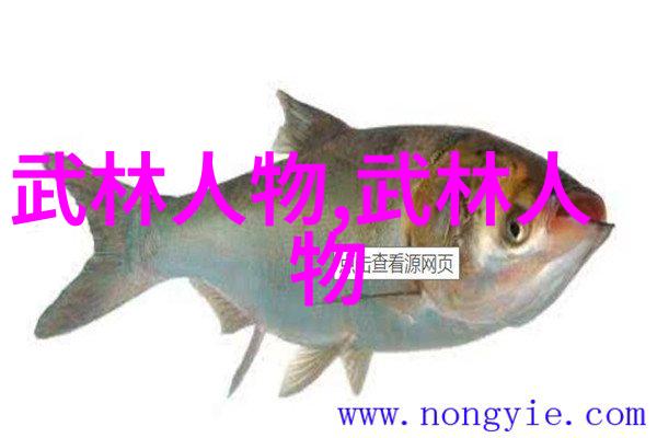 武当拳法与太极拳哪个更受欢迎