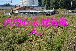 探秘中国最著名武术流派武林内外的辉煌传承