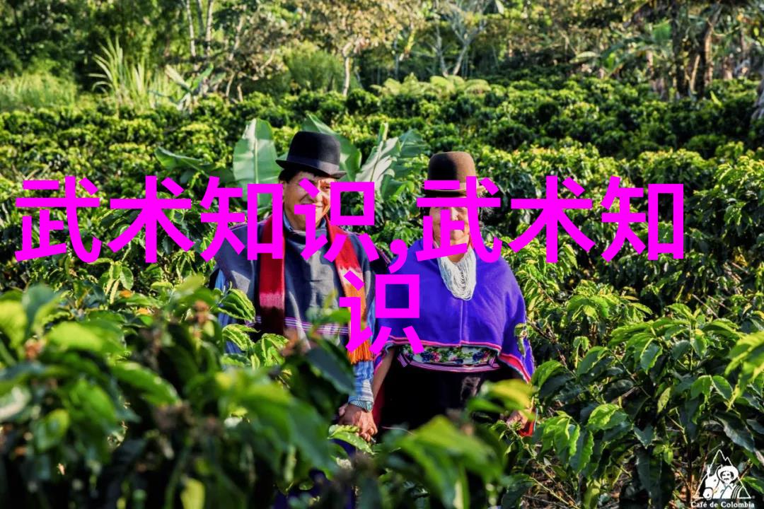 练轻功最快的方法一脚踢飞重力一掌拍开时间