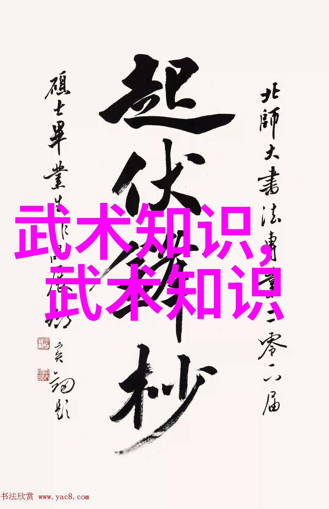 英格兰橄榄球超级联赛二队联赛萨拉森暴风夺魁传奇重现