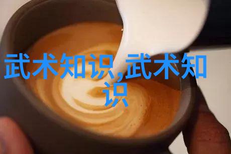 影踪轻功铁拳重击揭秘中国功夫的阴阳两面