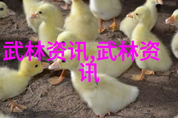 笑料满分帮我们能找到哪些幽默逗人的帮派名字