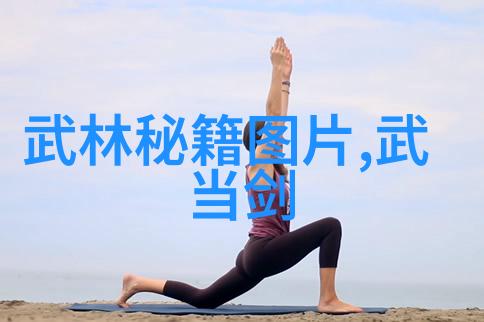 武林中的门派有哪些龙行太极拳