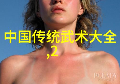 传统与现代并存探究全国武术门派的发展趋势