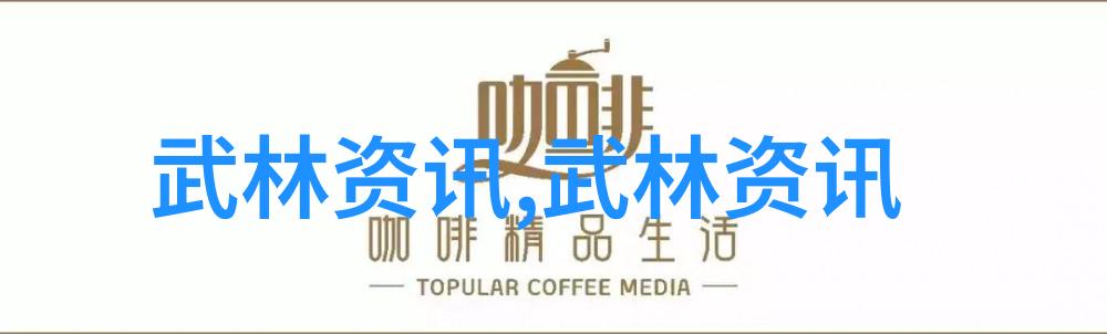 中央电视台专访南少林地术拳传人胡成武图文