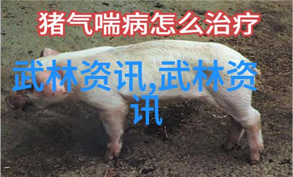 浑圆太极拳任意门派拳种古风帮派名五字押韵唯美