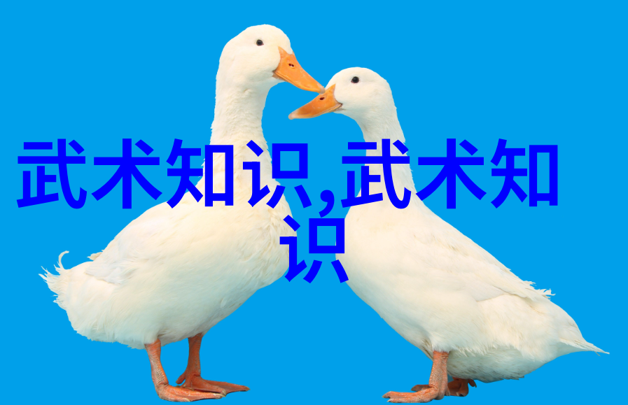 太极拳推手如黏土法十二种韵味随风起舞张宝银