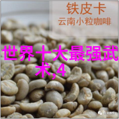 中国武术门派陈式太极拳