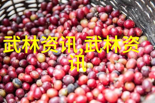 古典与现代的碰撞实验新时代下这些传统武术如何保持其战斗力