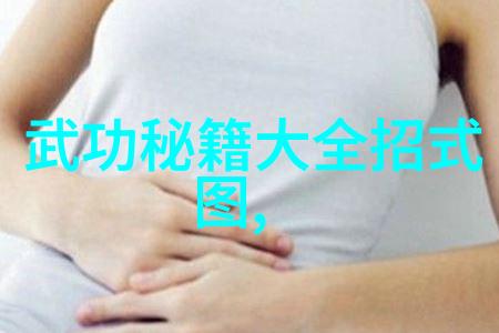 少林最厉害的太极拳步法