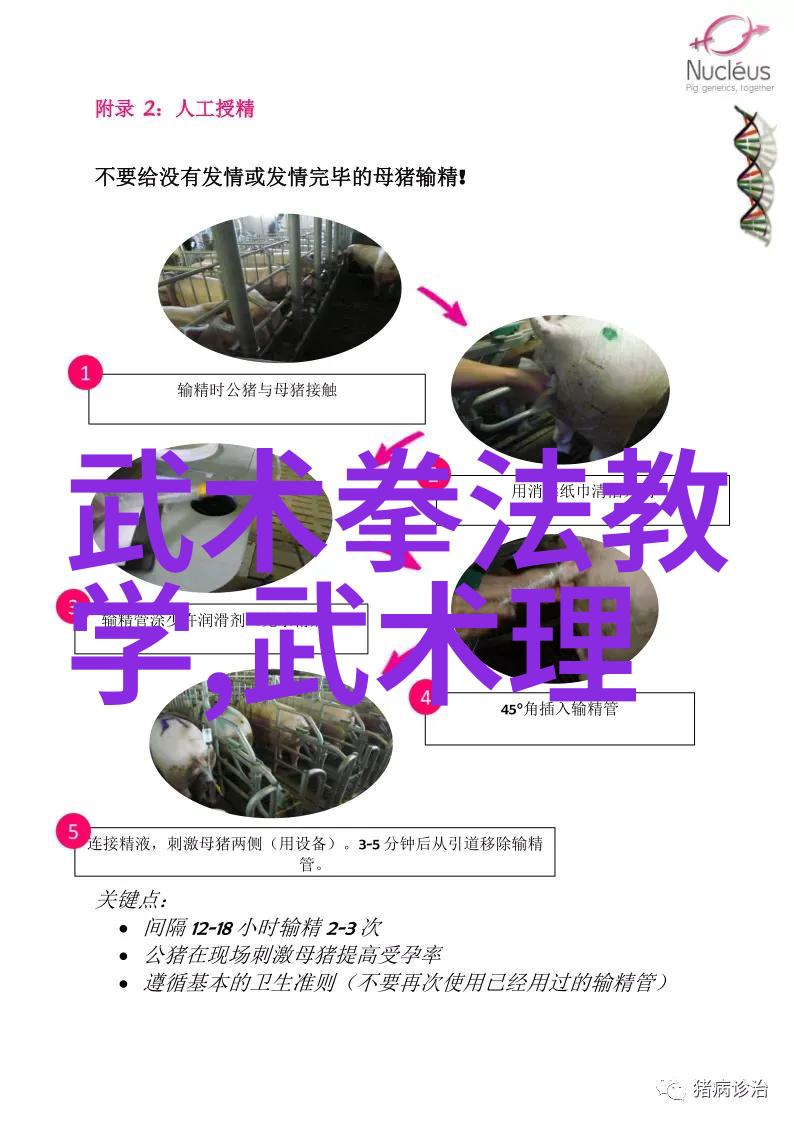 一拳打断砖需练至精通太极拳基础功夫的实践之道