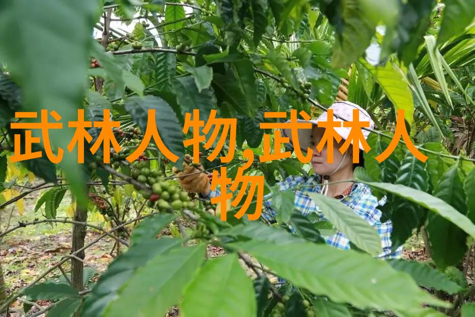 张宝银教你24式太极拳分解动作求松为本何其重要