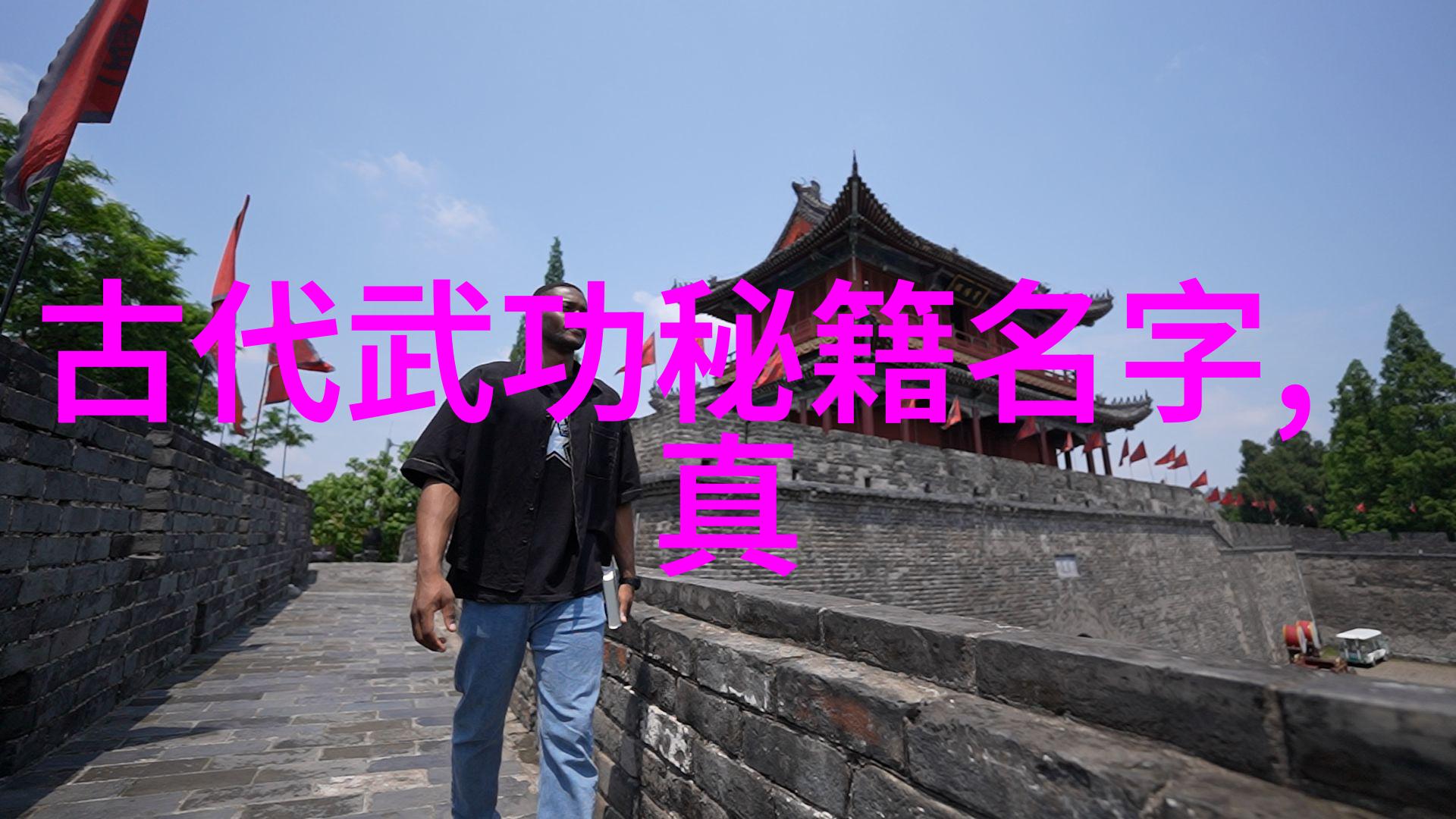 罗汉铁布衫功