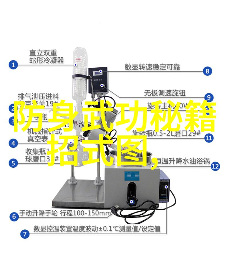 武林绝学秘籍教学掌握中华古代武术精髓