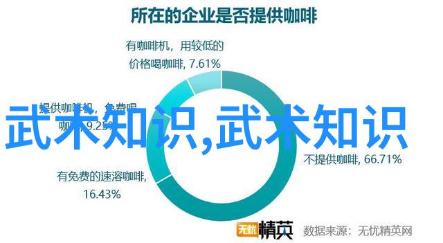 武功自学教学视频-精进内力武功自学者的必备指南