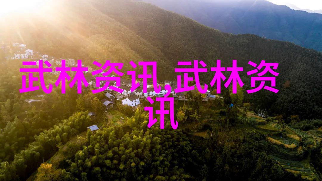 武林八大门派掌门人江湖中的智者和领袖