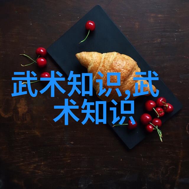 李雅轩太极拳论汇编武术活动名称大全犹如一首古老的诗篇流淌着智慧与力量的河流
